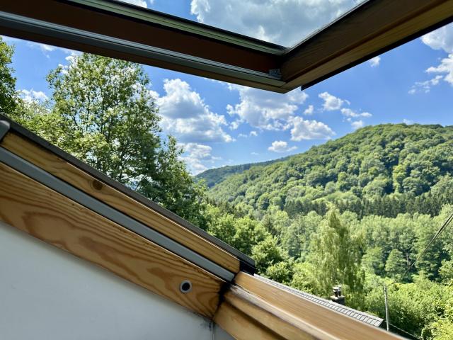 Aussicht vom Ferienhaus