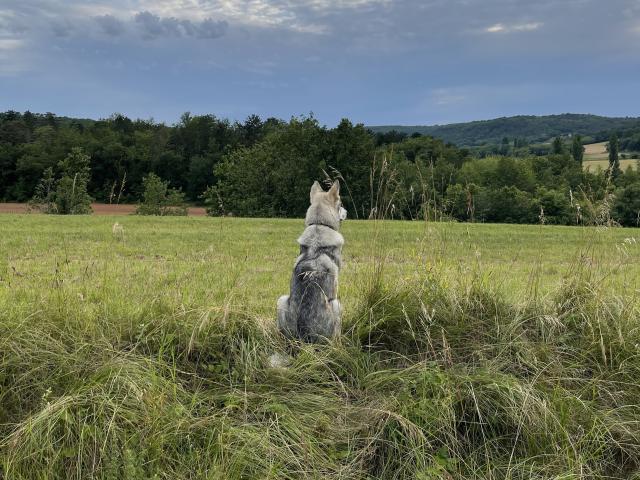 Vue de la maison de vacances