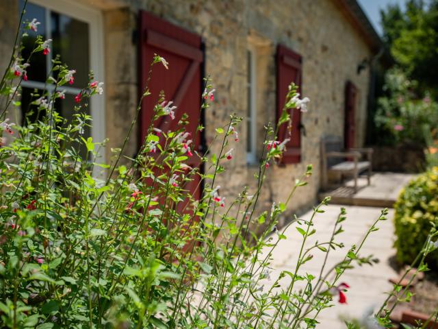 Ambiance / plan rapproché