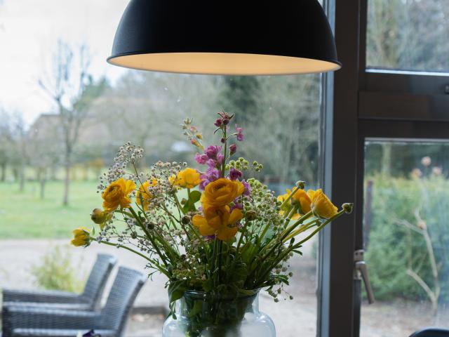 Ambiente / Nahaufnahme