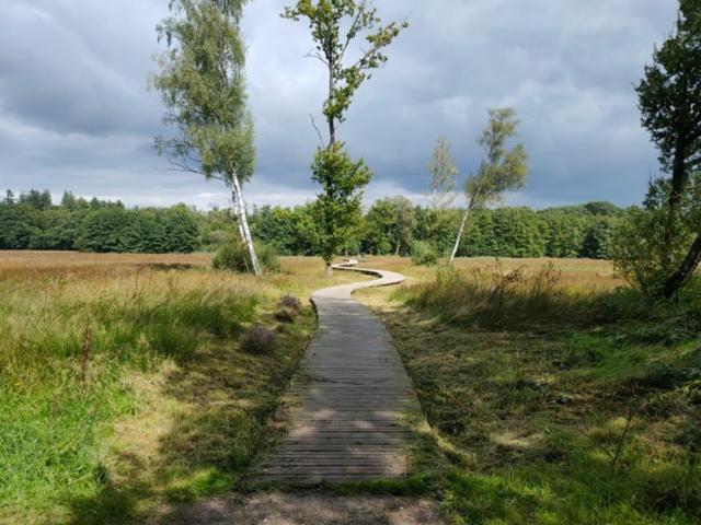 Direkte Umgebung [Sommer] (<1 km)