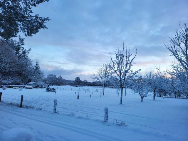 Direkte Umgebung (<1 km)