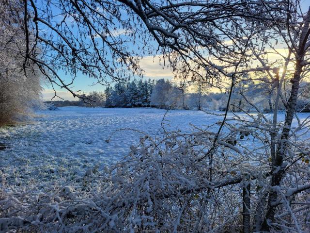 Direkte Umgebung (<1 km)