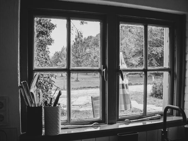 Aussicht vom Ferienhaus [Sommer]