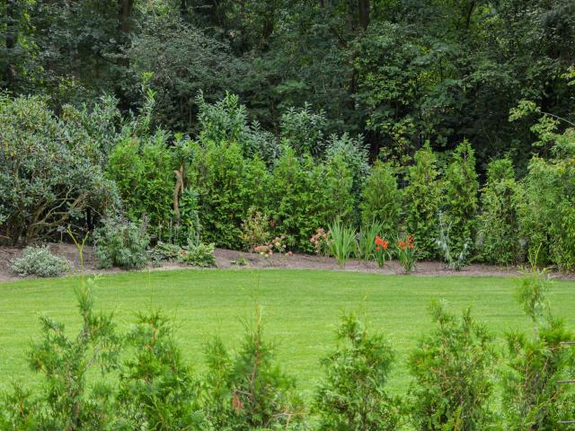 Aussicht vom Ferienhaus [Sommer]
