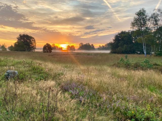 Umgebung [Sommer] (1-5 km)