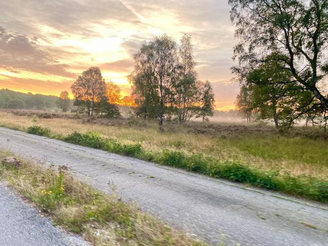 Umgebung [Sommer] (1-5 km)