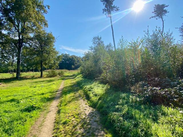 Umgebung [Sommer] (1-5 km)