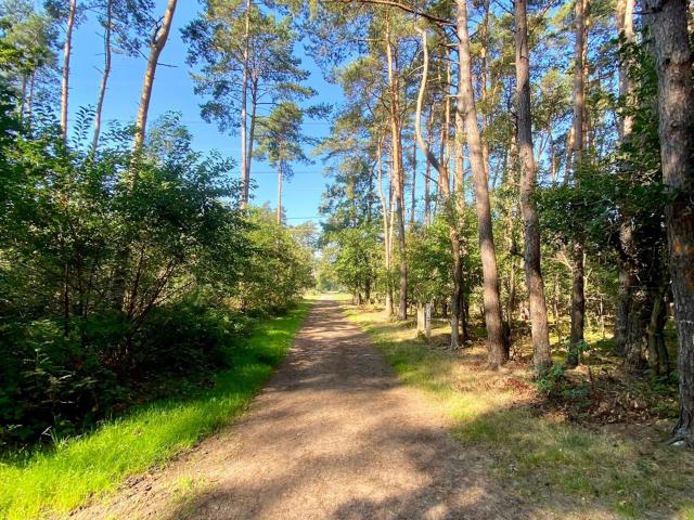 Direkte Umgebung [Sommer] (<1 km)