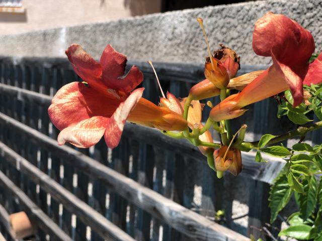 Ambiance / plan rapproché