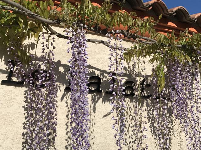 Ambiance / plan rapproché