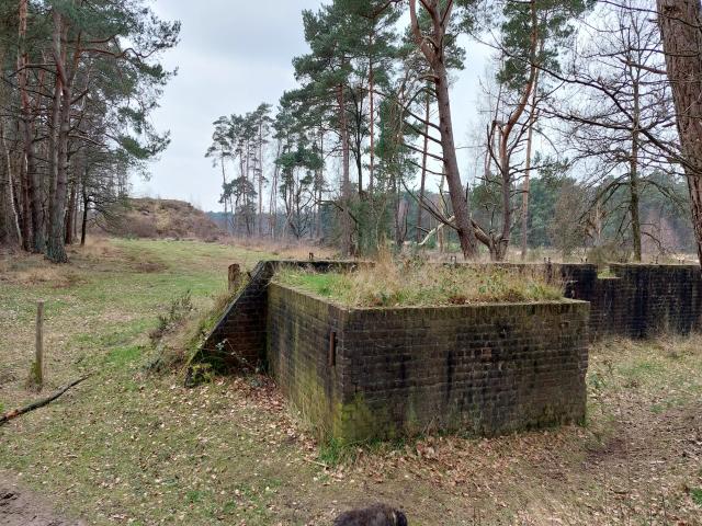 Umgebung [Sommer] (1-5 km)