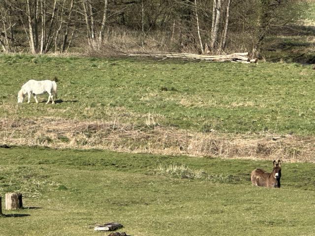 Direkte Umgebung [Sommer] (<1 km)