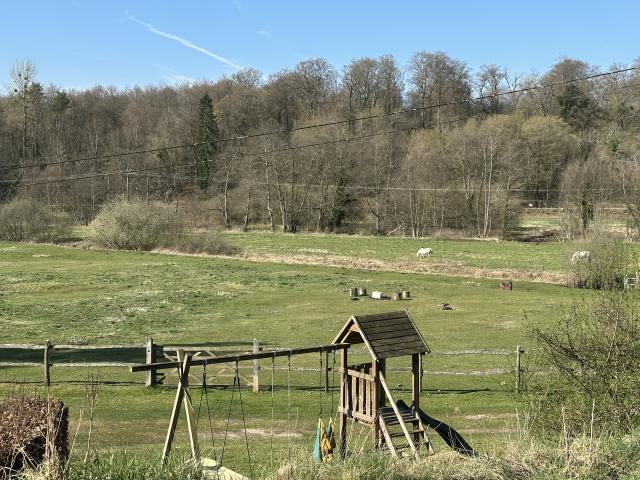 Aussicht vom Ferienhaus [Sommer]