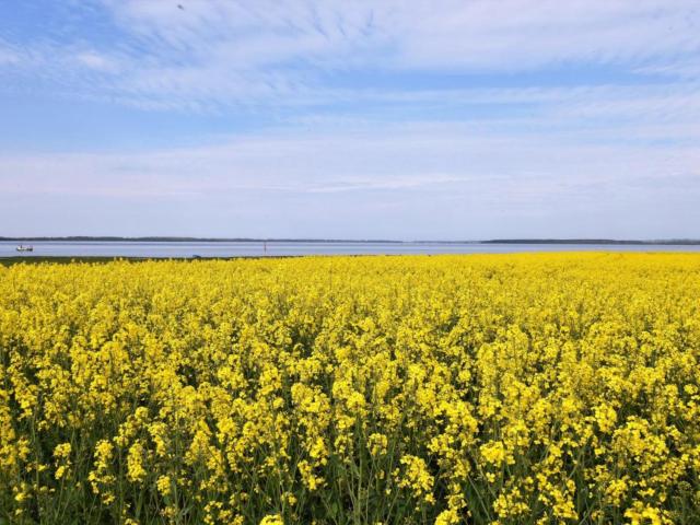 Dans les environs (1-5 km)