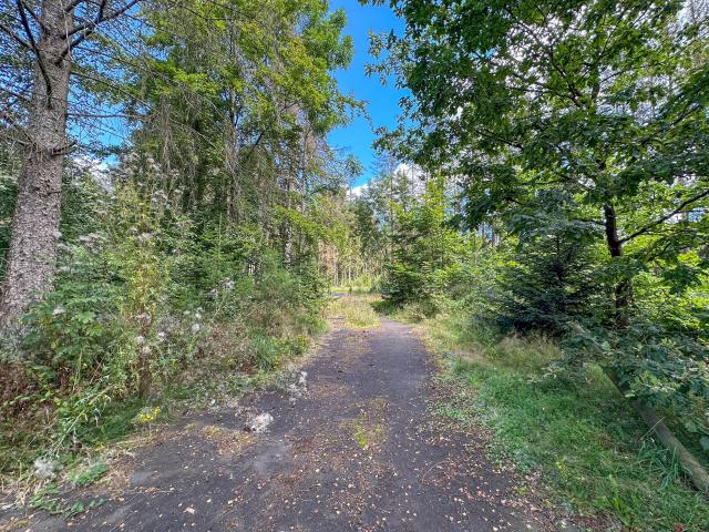 Directe omgeving [zomer] (<1 km)