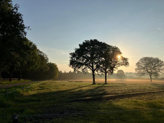 Aussicht vom Ferienhaus [Sommer]