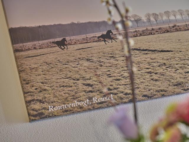 Ambiente / Nahaufnahme