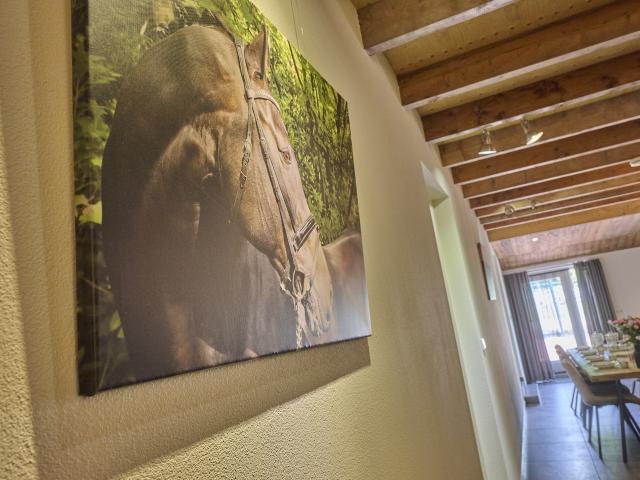 Ambiente / Nahaufnahme