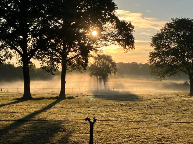 Aussicht vom Ferienhaus [Sommer]