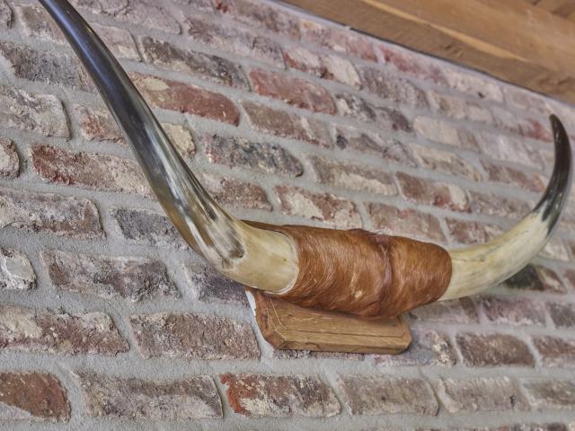 Ambiente / Nahaufnahme