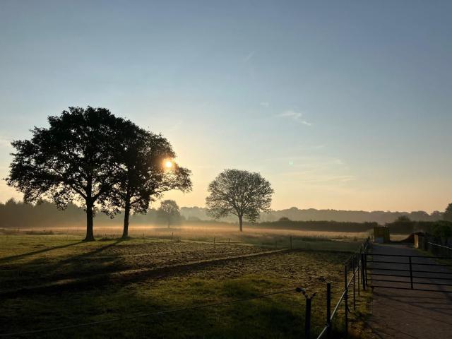Aussicht vom Ferienhaus [Sommer]