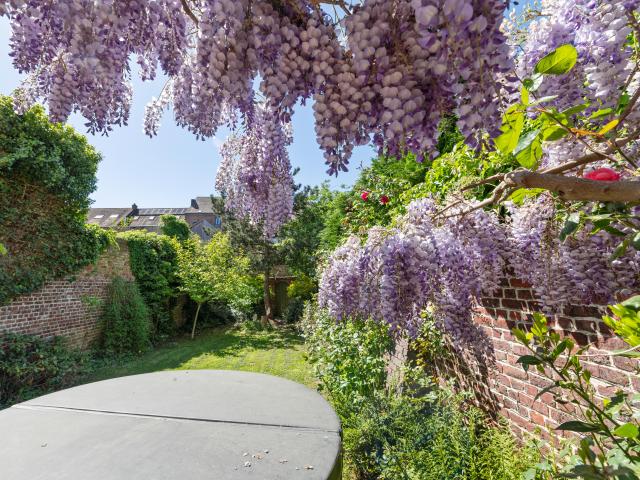 Jardin