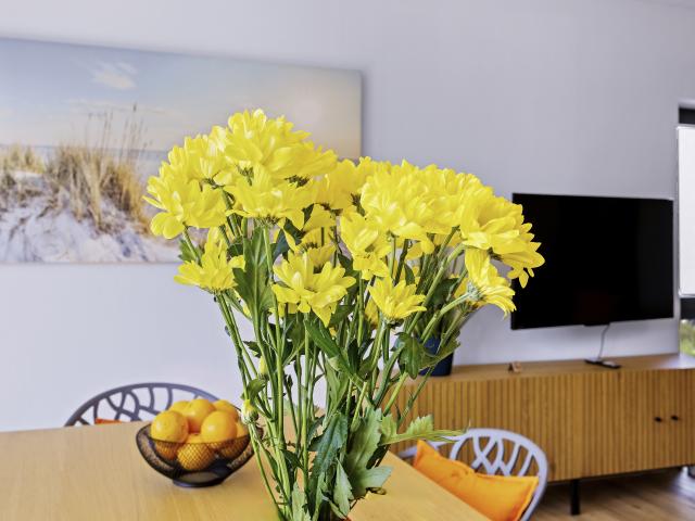 Ambiente / Nahaufnahme