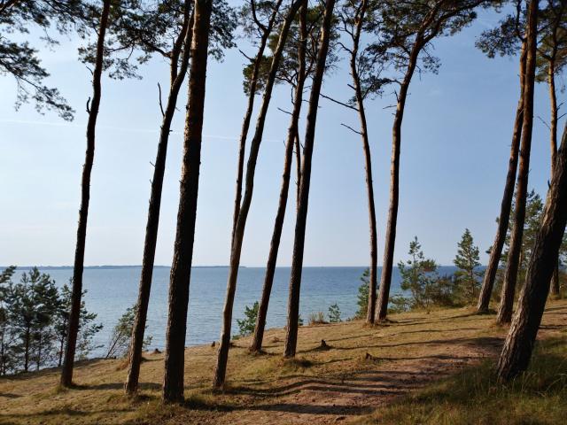 Umgebung [Sommer] (1-5 km)