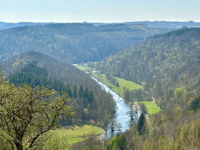 In der Region (>5 km)