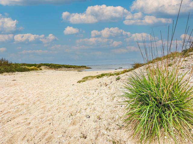 Direkte Umgebung [Sommer] (<1 km)