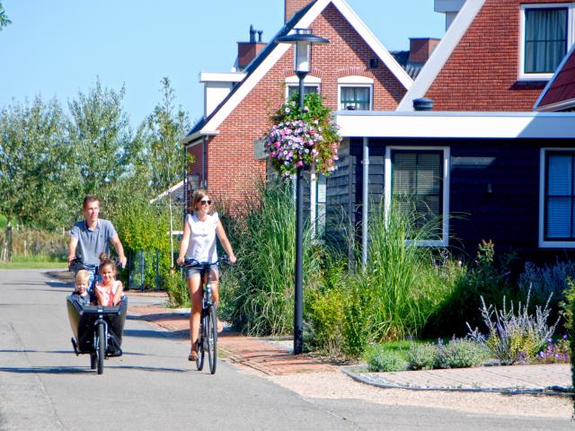 Ambiente / Nahaufnahme