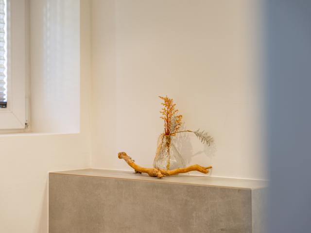 Ambiance / plan rapproché