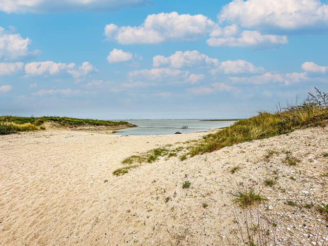 A proximité directe (<1 km)