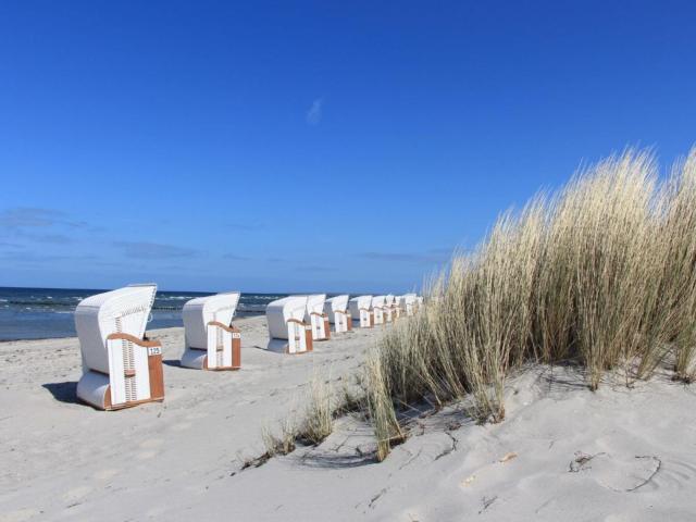 Dans les environs (1-5 km)