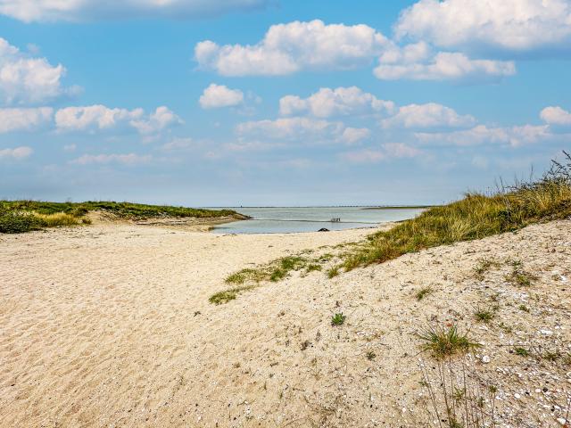 Direkte Umgebung [Sommer] (<1 km)