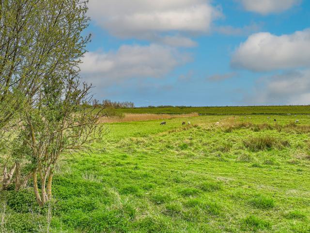 Direkte Umgebung [Sommer] (<1 km)