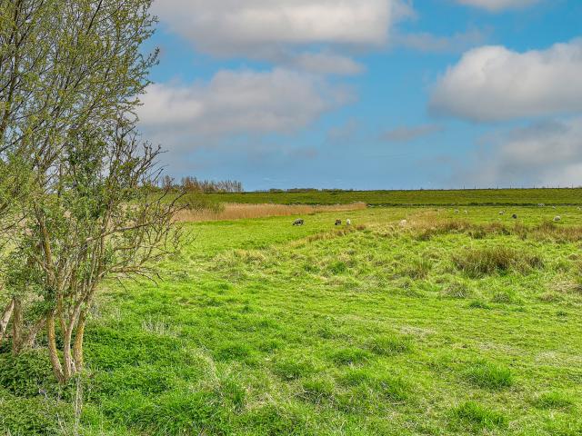 Directe omgeving [zomer] (<1 km)