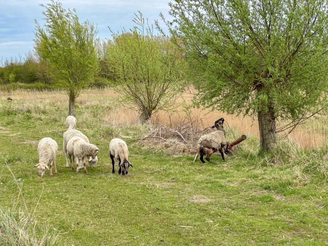 Uitzicht van vakantiehuis [zomer]
