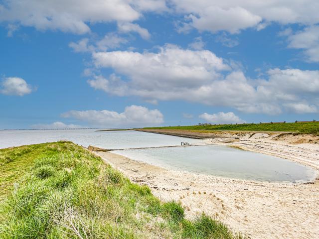 Directe omgeving [zomer] (<1 km)