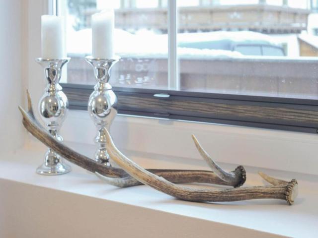 Ambiance / plan rapproché