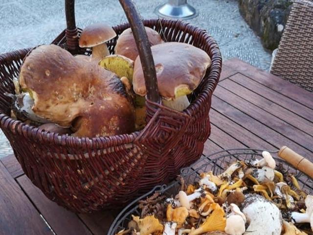 Ambiente / Nahaufnahme