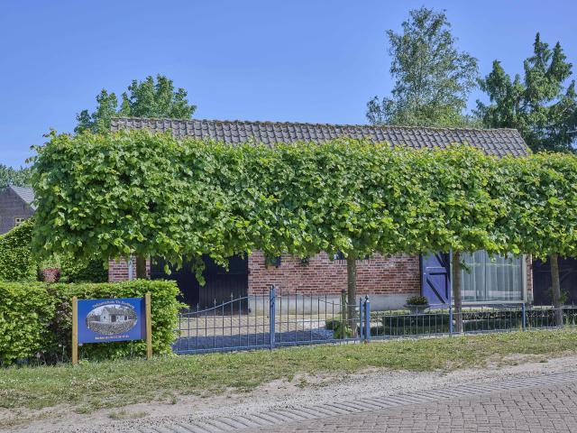 Außenseite Ferienhaus [Sommer]