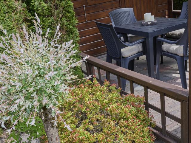 Ambiente / Nahaufnahme