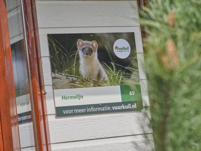 Ambiente / Nahaufnahme