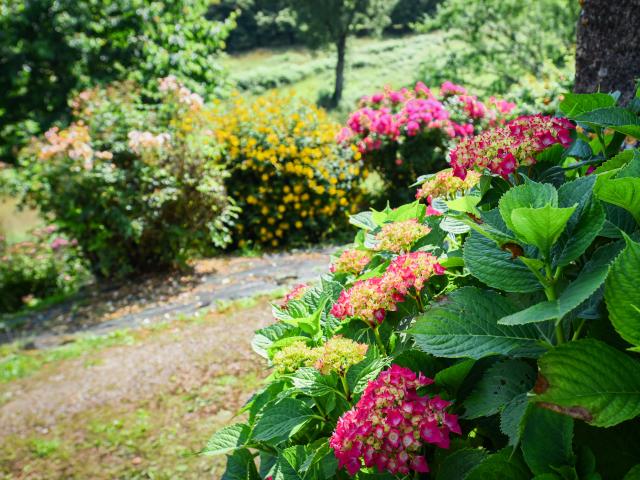 Ambiance / plan rapproché