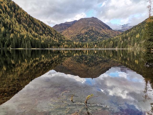 In de regio [zomer] (>5 km)