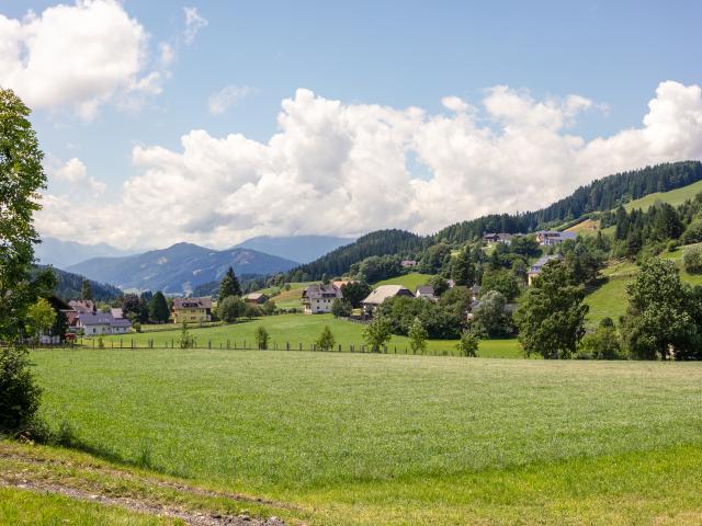 Directe omgeving [zomer] (<1 km)