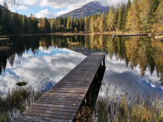 In de regio [zomer] (>5 km)