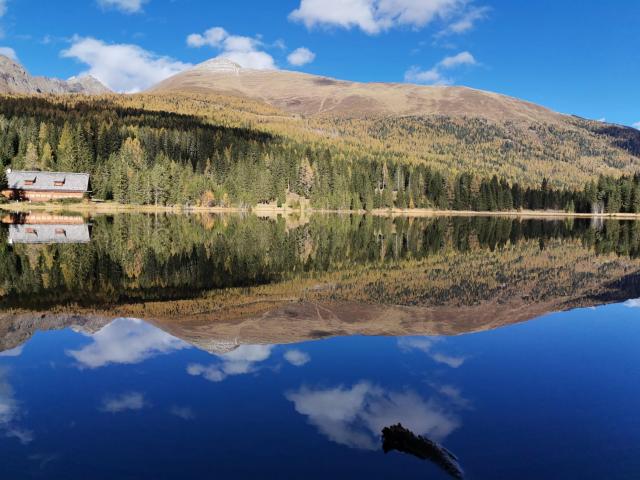 In de regio [zomer] (>5 km)